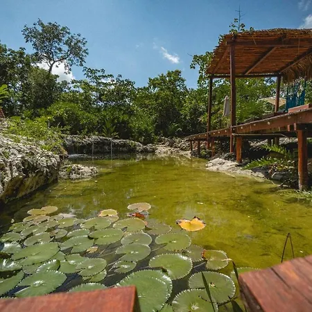 Apartamento Jungle Heaven Penthouse