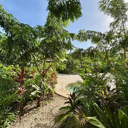 Apartment Jungle Loft Mistiq Garden 2 -skypool -gym -beach *