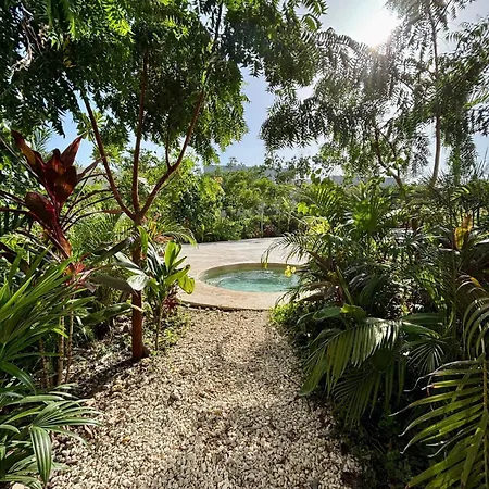 Jungle Loft Mistiq Garden 2 -skypool -gym -beach Tulum