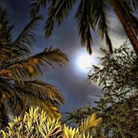 Hotel Dos Ceibas Tulum - Feel Good Hotel