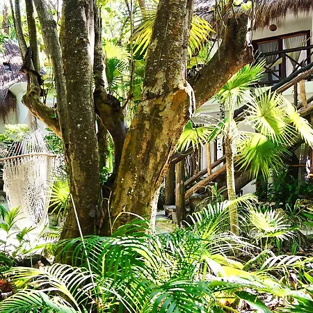 Hotel Dos Ceibas Tulum - Feel Good Hotel 4*
