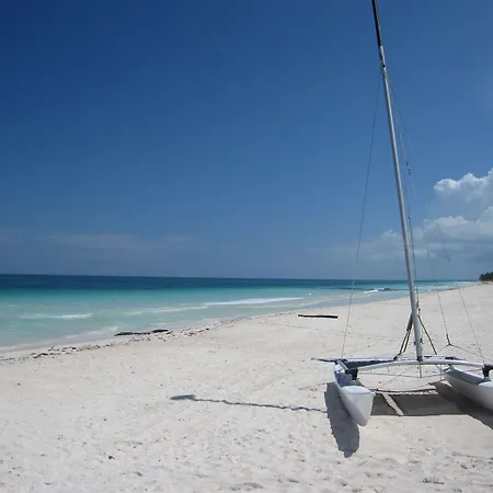 Hotel Dos Ceibas Tulum - Feel Good Hotel