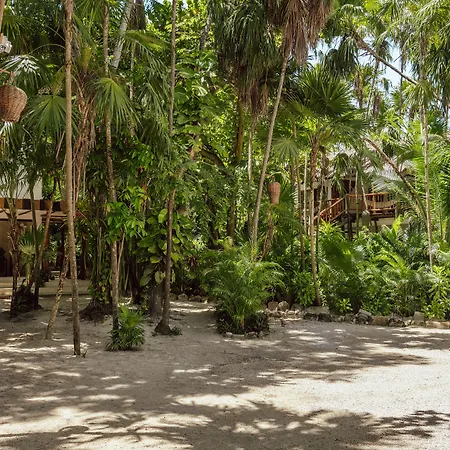 Dos Ceibas Tulum - Feel Good Hotel Hotel 4*