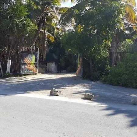 Playa Palmas Glamping Hotel Tulum