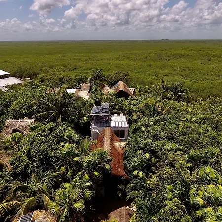 Tuup Jungle Apartahotel Tulum