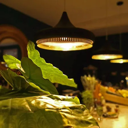 Hotel Coco Unlimited Tulum