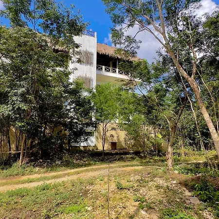 Ich Ha - Adults Only Hotel Tulum