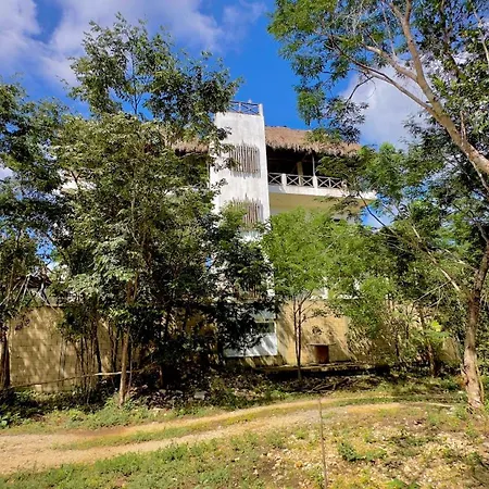 Hotel Ich Ha - Adults Only Tulum