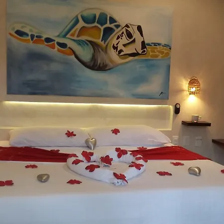 Hotel Pacha Boutique 4*