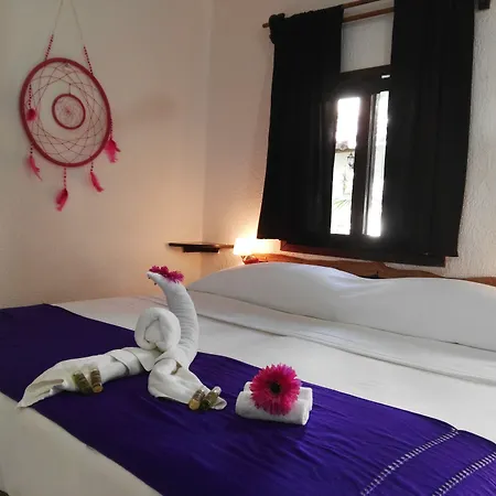 Pacha Boutique Hotel
