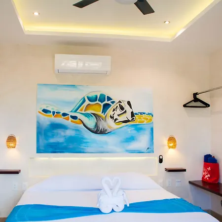 Pacha Boutique Hotel 4*
