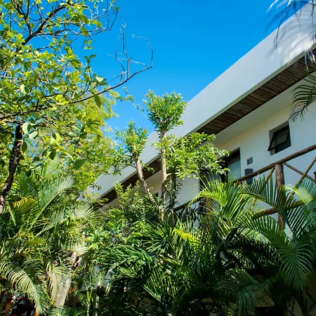 Pacha Boutique Hotel 4*