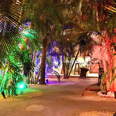 Hotel Pacha Boutique Tulum