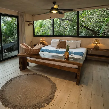 Hotel Sunset House 2*