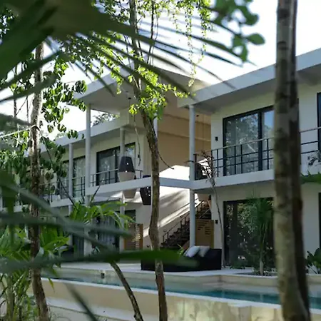 Apartment Bt Homes - - Selva Holistika Con Piscina Privada