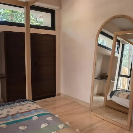 Bt Homes - - Selva Holistika Con Piscina Privada * Tulum