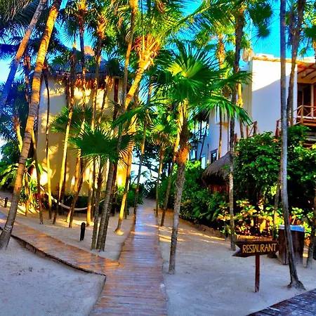 Hotel Rosa Del Viento