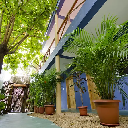 Casa Almendro Hotel Tulum