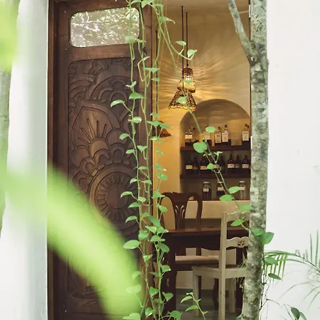 Holistika Tulum