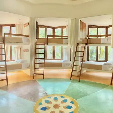 Hotel Holistika 4*