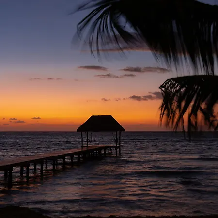 Alea Tulum