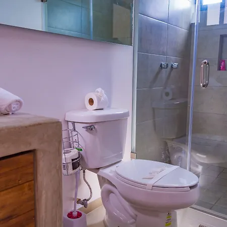 Aparthotel Mi 4*