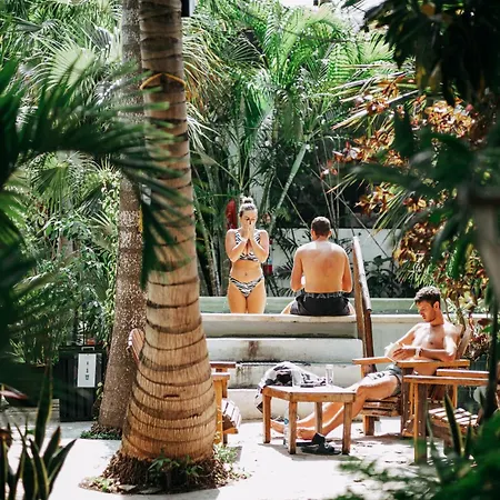Oryx * Tulum