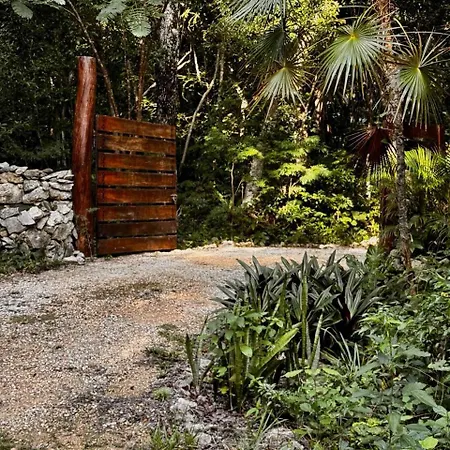 Ixchel Private Pool