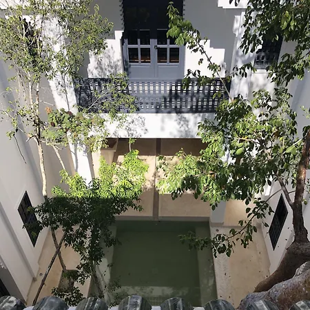 Hotel Ambre & Epices Jungle &