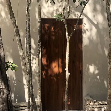 Hotel Ambre & Epices Jungle & Tulum