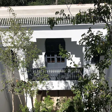 Hotel Ambre & Epices Jungle &