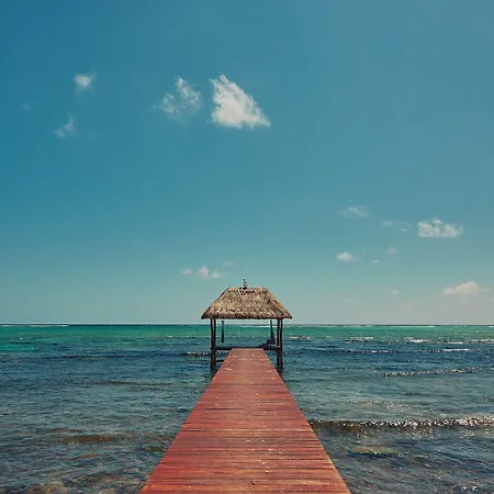 Casa Altamar Hotel Tulum