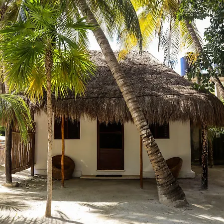 Alito Hotel Tulum