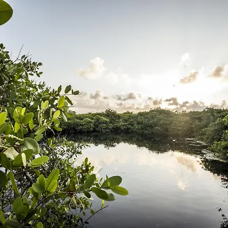 Casa Teka - Boutique & Cenote Tulum