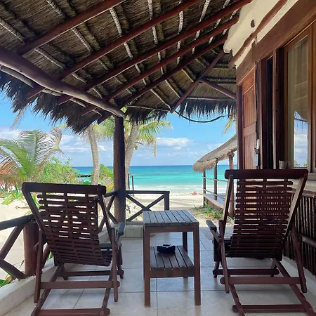 Hotel Bt Live Located At The Party Zone Tulum