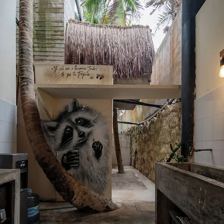 Tropicalito