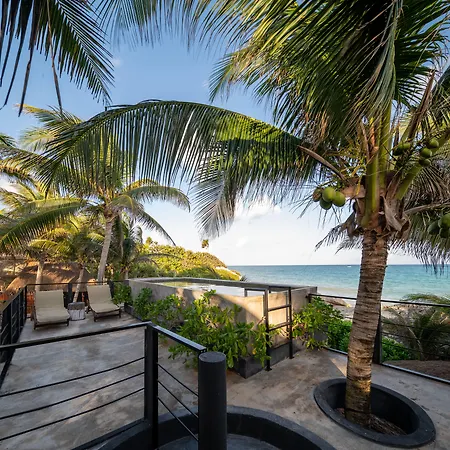 Tropicalito