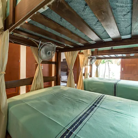 Mimosa Hostel *