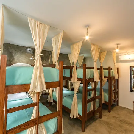 Hostel Mimosa *