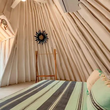 Mimosa Hostel