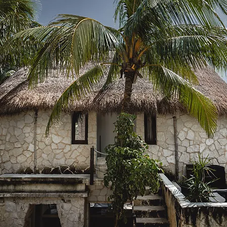 Nest Hotel 4*