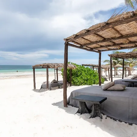 Nest Tulum