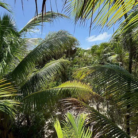 Casa Gitano Hotel Tulum
