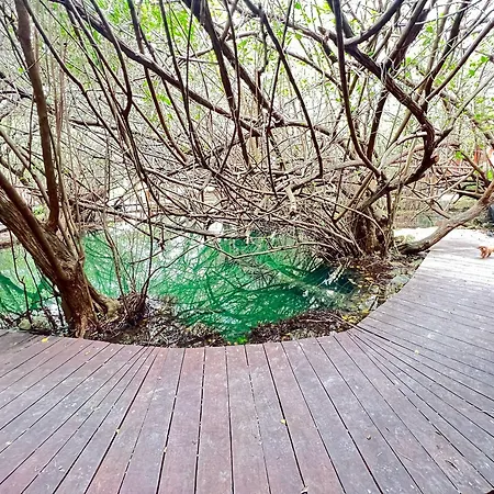 Caiman Habitat 5* Tulum