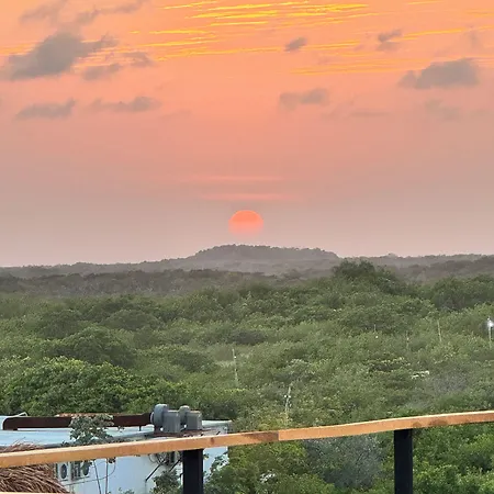 Caiman Habitat Tulum