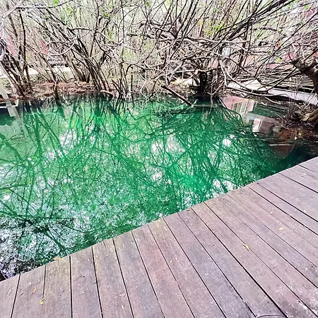 Caiman Habitat Hotel 5*