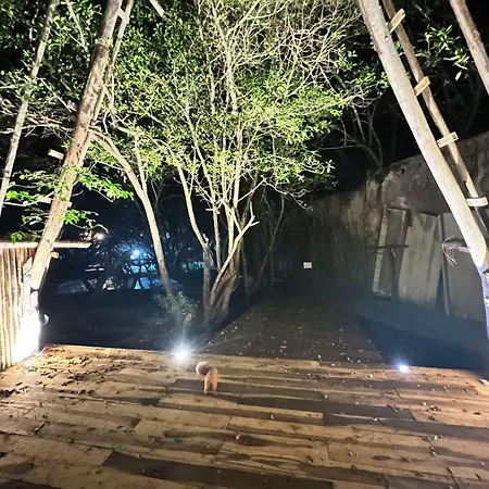 Hotel Caiman Habitat