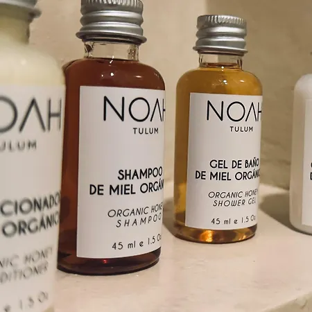 Noah 3* Tulum