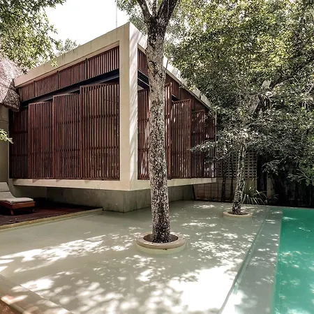 Jungle Vogue-featured Luxe For 19 * Tulum