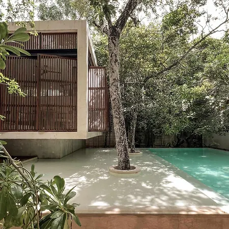 Jungle Vogue-featured Luxe For 19 Tulum